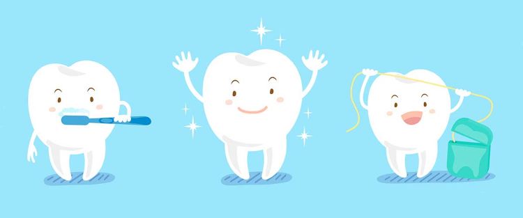 Happy, healthy teeth illustration