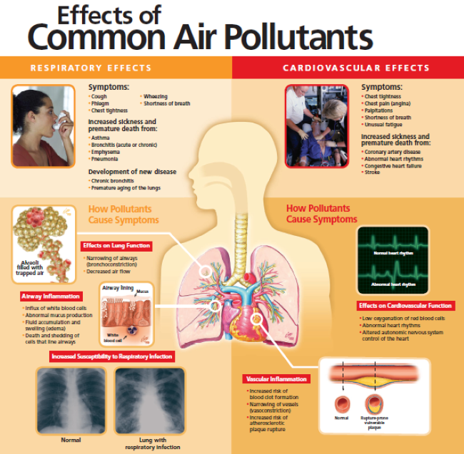 Health Effects of Air Pollution