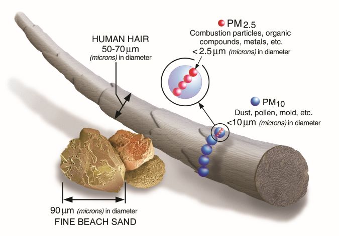 PM2.5 Scale Graphic