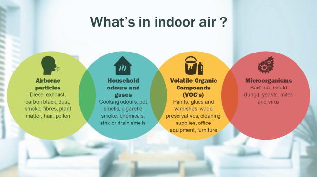 Common Indoor Air Pollutants